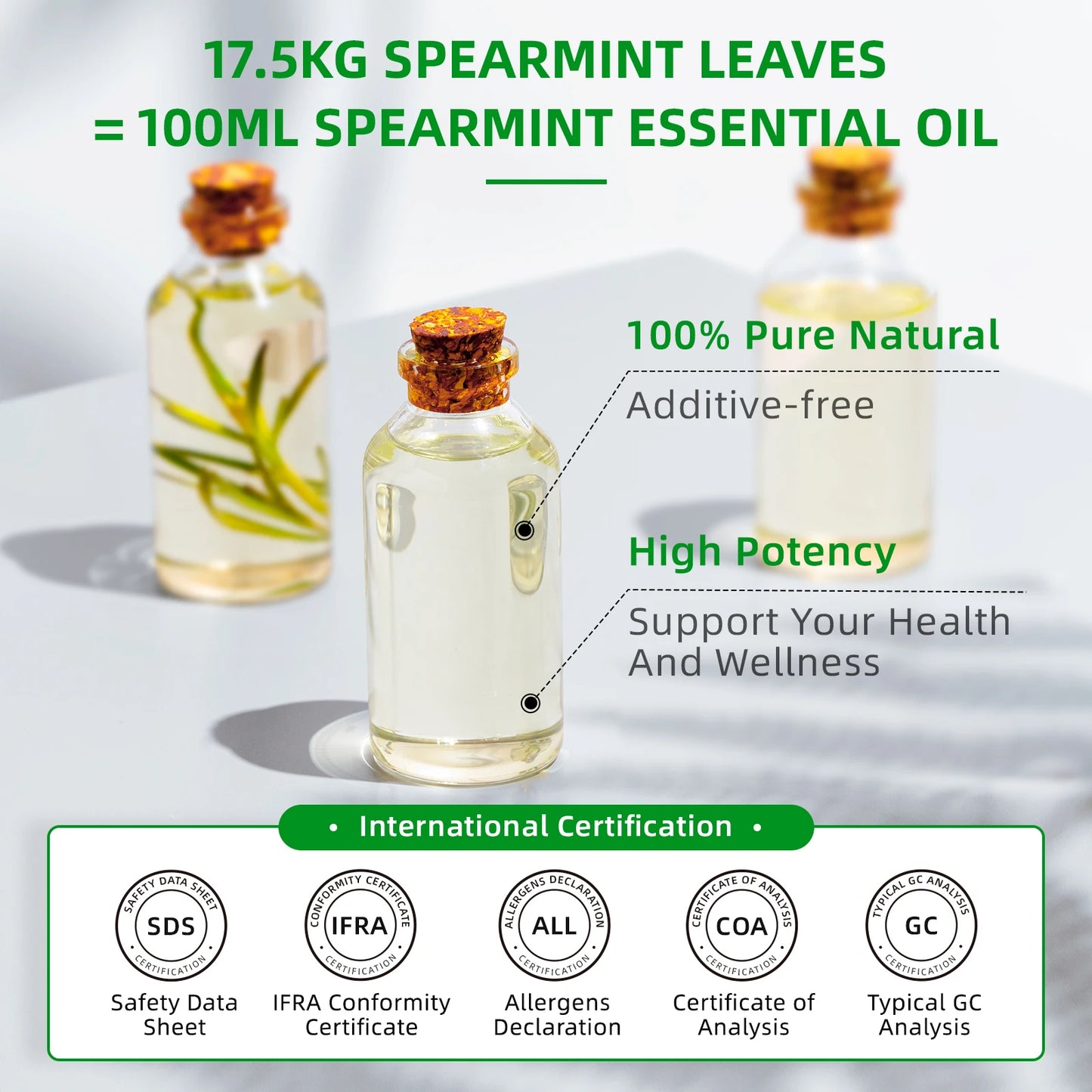 HIQILI Spearmint Vanilla Rose Cinnamon Lemon Essential Oils