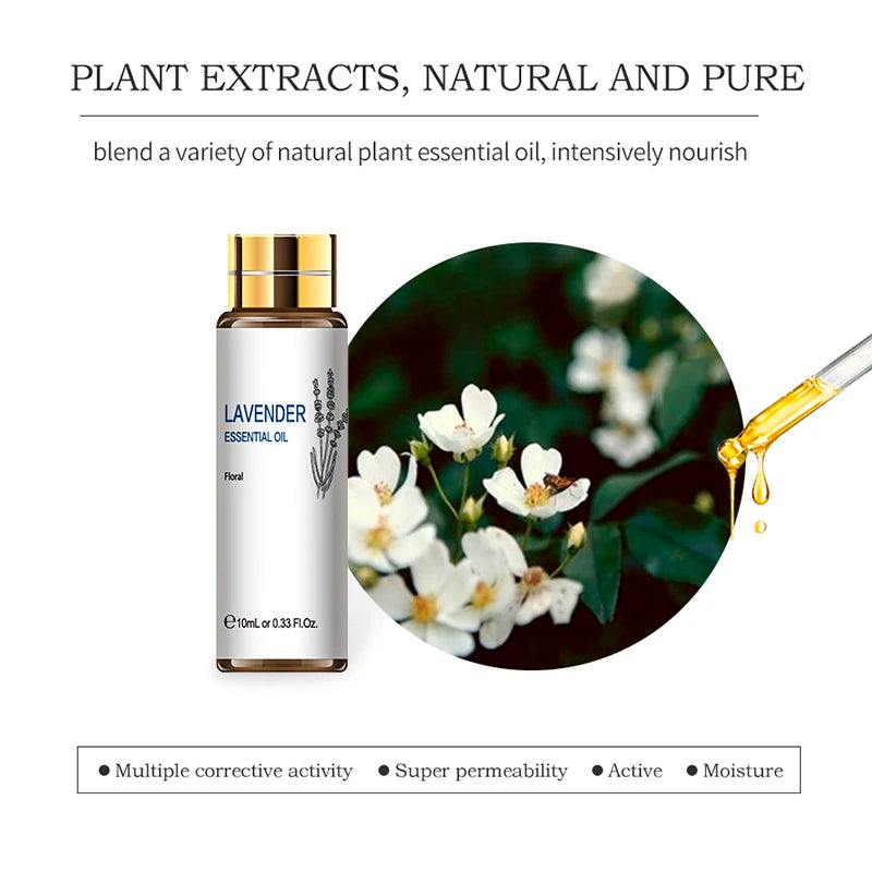 HIQILIE Essential Oils Set Lavender Eucalyptus Vanilla Jasmine Mint Rose